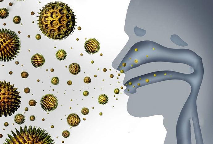 Hidden Allergies That Make You Snore